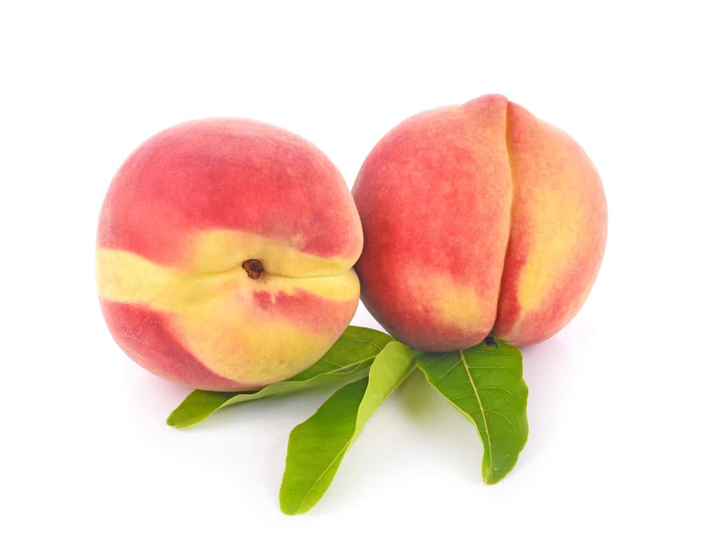 two peaches on white background