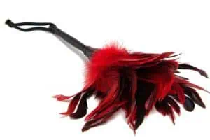 Feathers and Ticklers