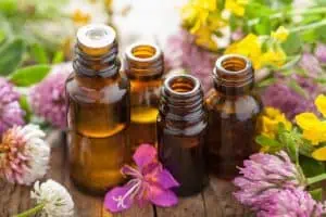 Finding the Right Scent