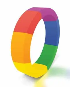 The Brawn Pride Cock Ring