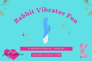 Rabbit Vibrator Fun