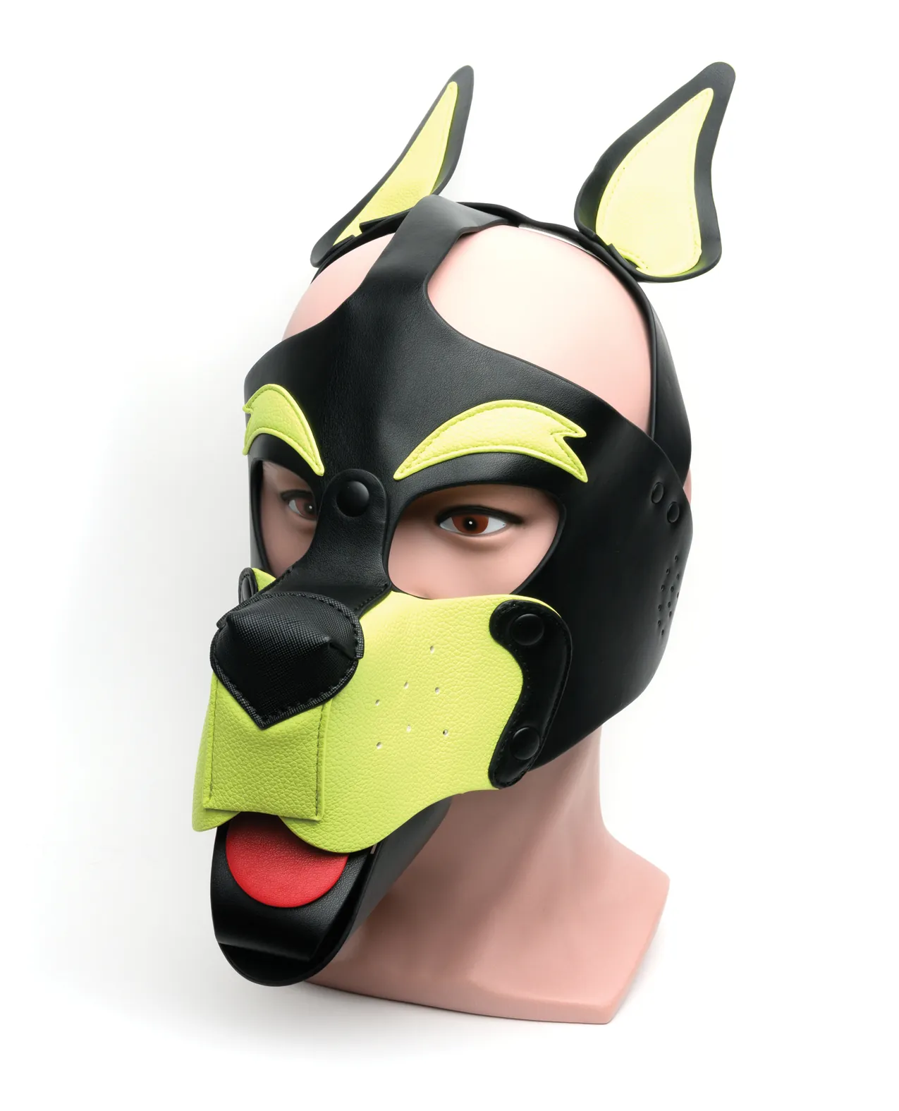 Playful Pup Hood - O/S Black/Yellow