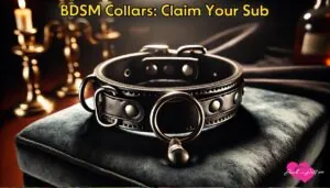 BDSM Collars: Claim Your Sub