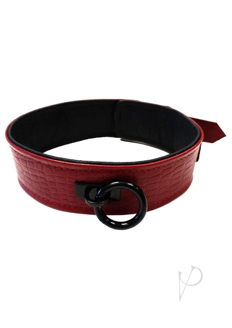 Rouge Plain Leather Collar - Burgundy - Image 3