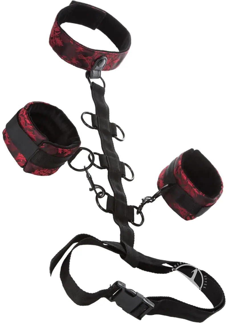 Scandal Collar Body Restraint - Image 6