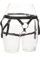 Her Royal Harness The Duchess - Image 4
