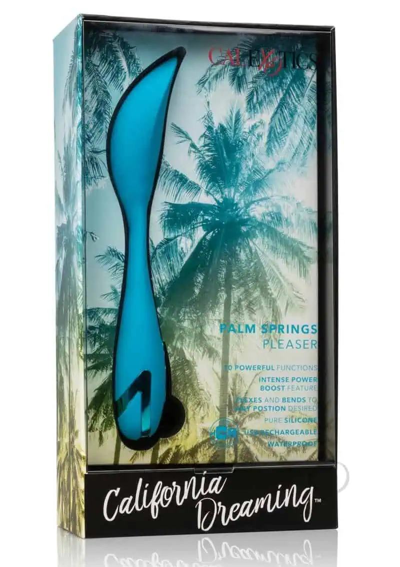 California Dreaming Palm Springs Pleaser - Image 5