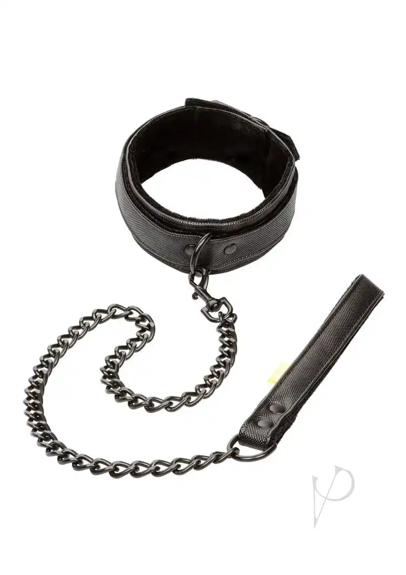 Boundless Collar and Leash Black - Image 2