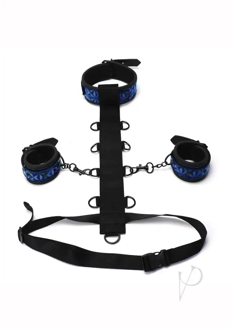 Whipsmart Body Harn Restraint 3pc Blue - Image 2