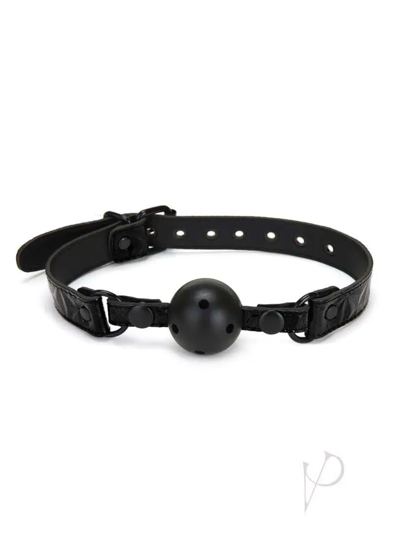 Whipsmart Deluxe Ball Gag Black - Image 2