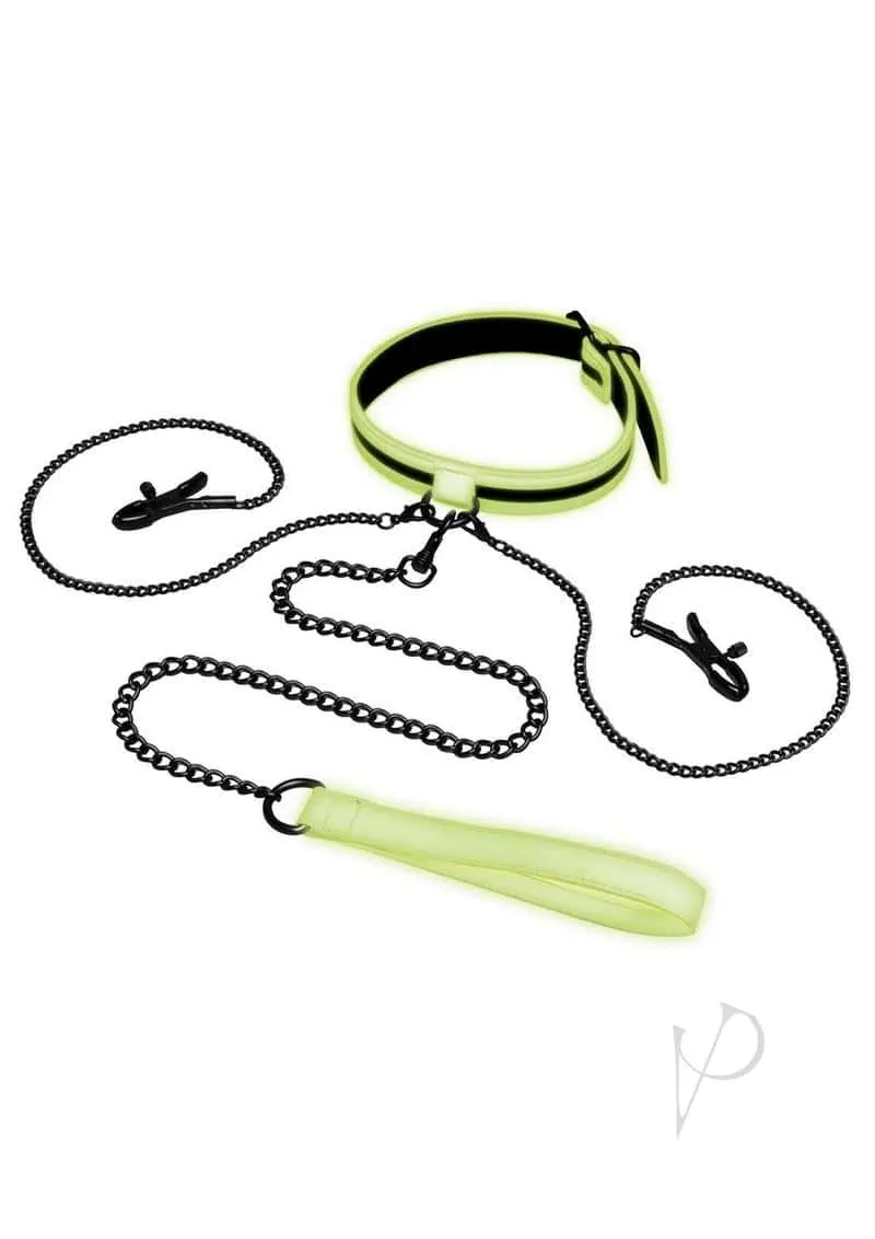 Whipsmart Glow in the Dark Collar Nipple Clip Leash - Image 2