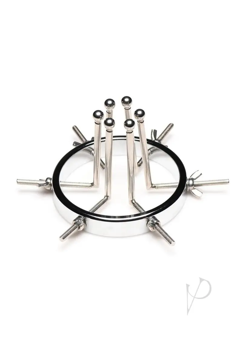 Ms Oculus Stainless Steel Anal Explorer - Image 2