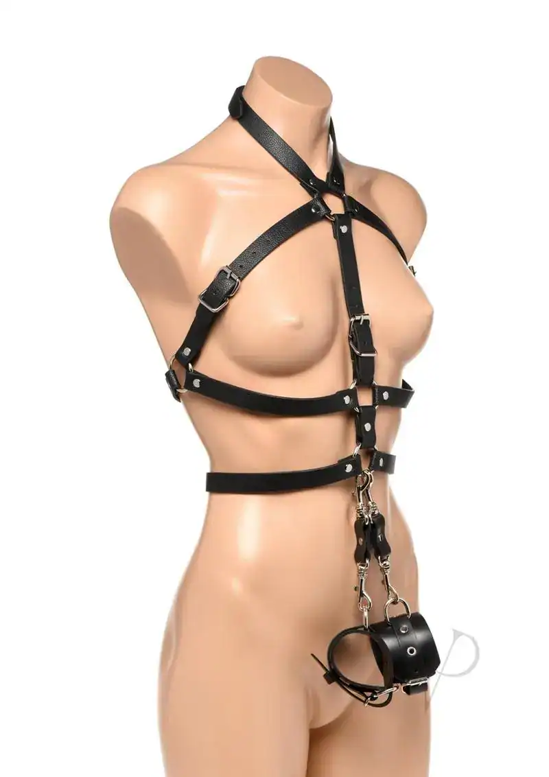 Strict Female Body Harness 2x/3x - Image 2
