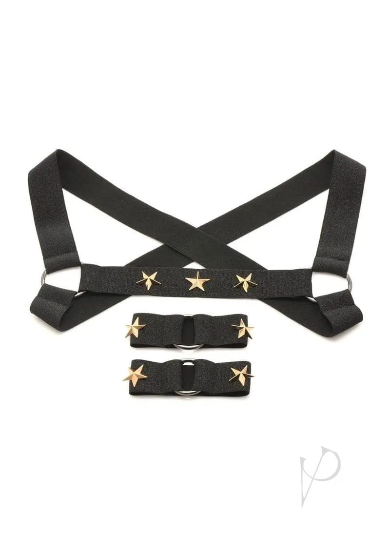 Master Series Rave Chest Harness Small / Medium - Black / Gold - Image 2