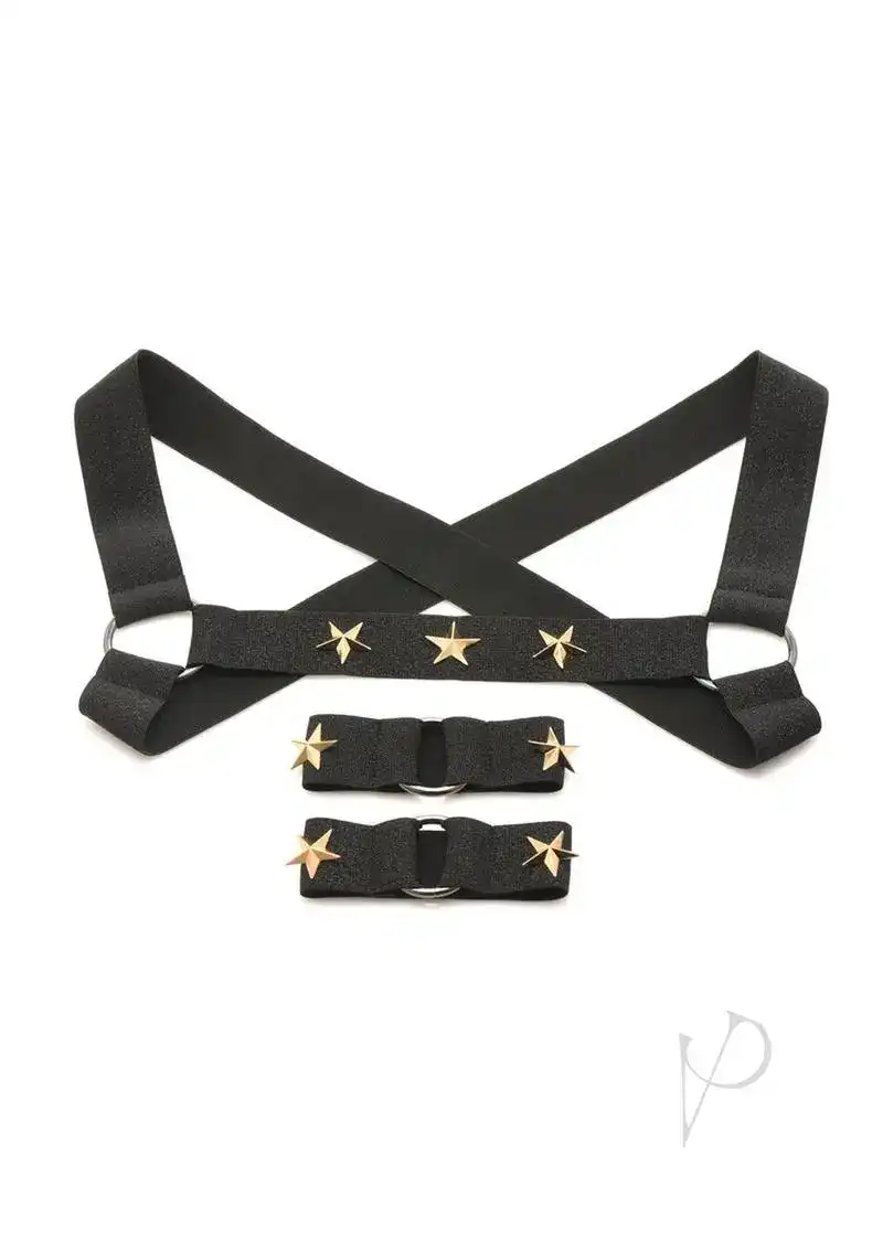 Master Series Rave Chest Harness Large / XL - Black / Gold - Image 2