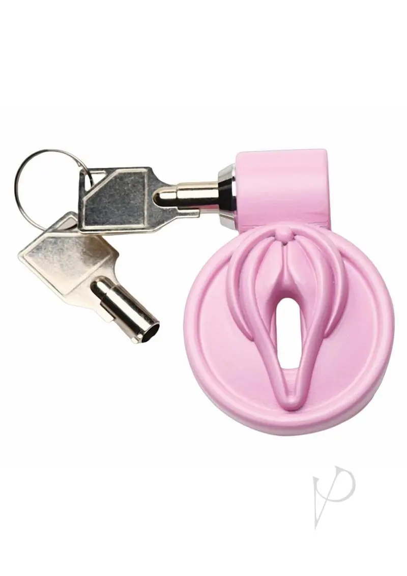 Master Series Pussification Vulva Chastity Cage - Image 2
