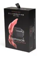 Clandestine Devices Companion Panty Vibe w/Wearable Remote - Coral - Image 5
