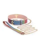 Spectra Bondage Collar & Leash - Rainbow - Image 2