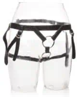 Her Royal Harness The Duchess - Image 1