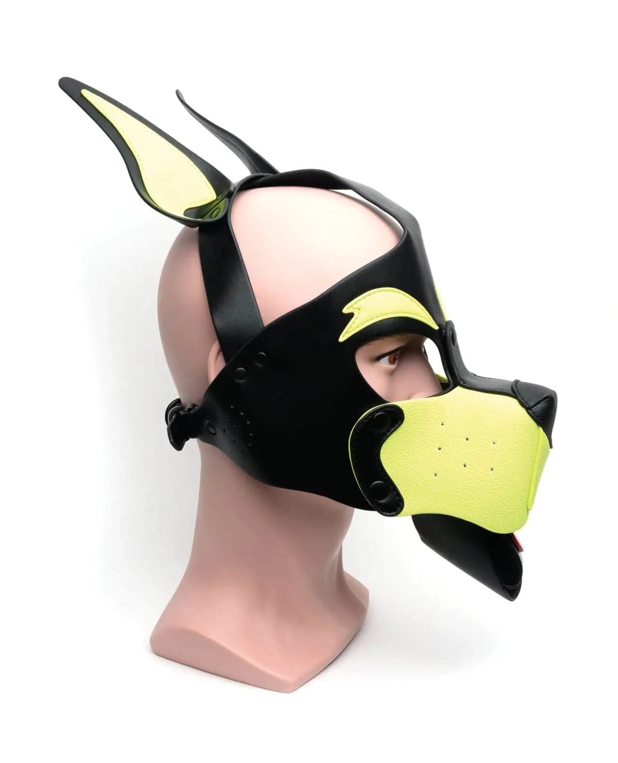 Playful Pup Hood - O/S Black/Yellow - Image 2