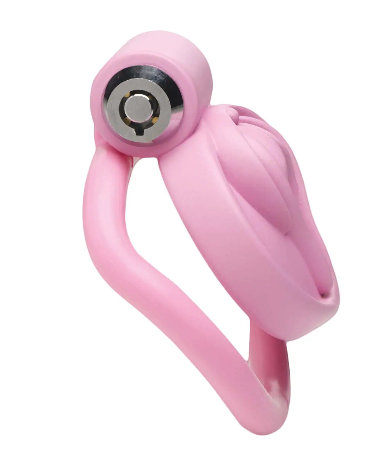 Master Series Pussification Vulva Chastity Cage - Image 4