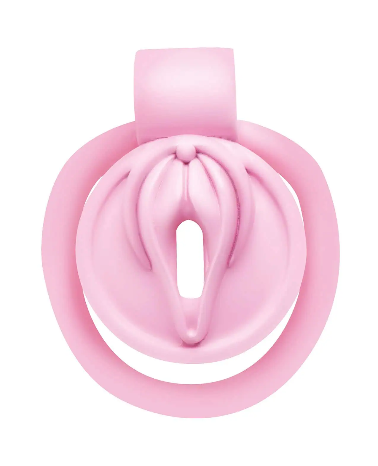 Master Series Pussification Vulva Chastity Cage - Image 5