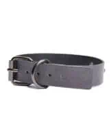 Gunmetal Glam Collar & Leash w/Removable Chain - Image 4