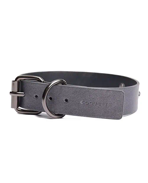Gunmetal Glam Collar & Leash w/Removable Chain - Image 4