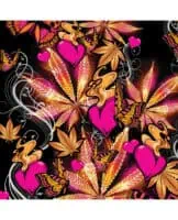 Buzzed 5" Mini Vibe - Pink Kush - Image 5