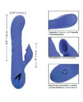 California Dreaming L.A. Love - Image 5