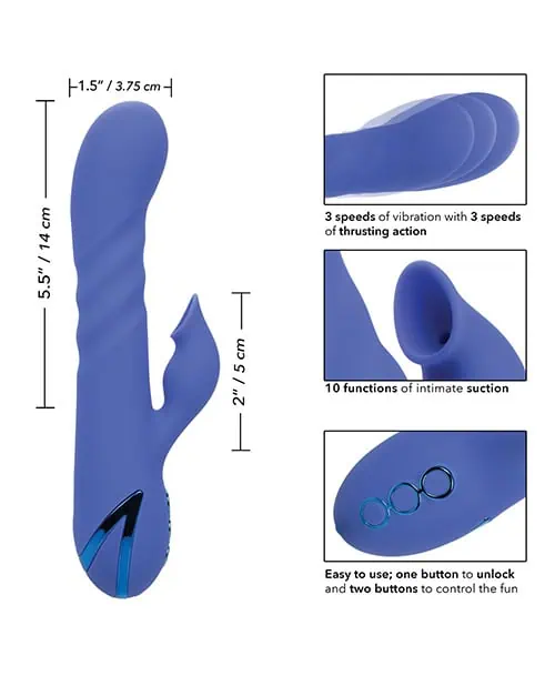 California Dreaming L.A. Love - Image 5