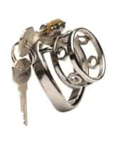 Pussy Boy Metal Chastity Cage - Image 3