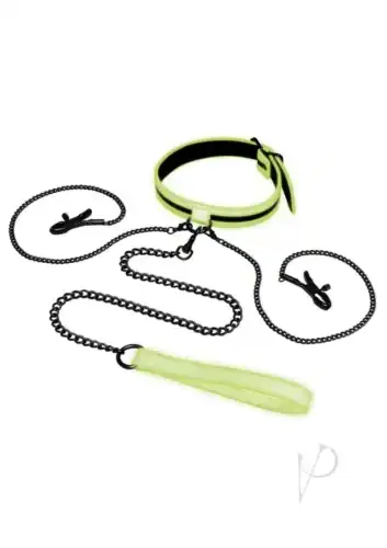 Whipsmart Glow in the Dark Collar Nipple Clip Leash